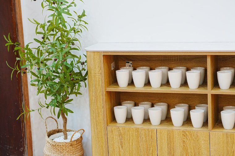 Giá gỗ xếp ly gốm trắng bên chậu cây xanh ở quầy nước